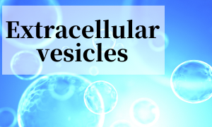 Extracellular vesicles